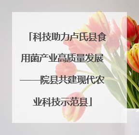 科技助力卢氏县食用菌产业高质量发展——院县共建现代农业科技示范县