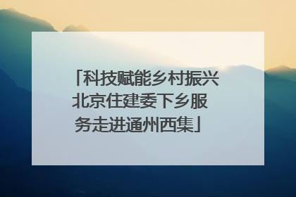 科技赋能乡村振兴 北京住建委下乡服务走进通州西集
