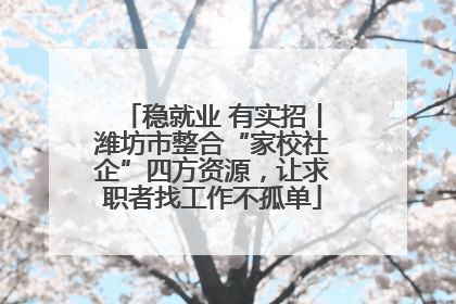 稳就业 有实招丨潍坊市整合“家校社企”四方资源，让求职者找工作不孤单