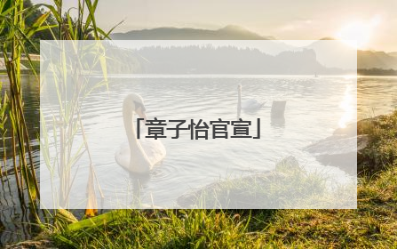 章子怡官宣