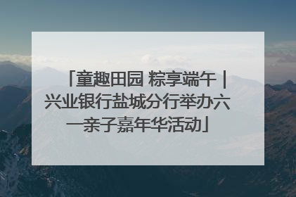 童趣田园 粽享端午｜兴业银行盐城分行举办六一亲子嘉年华活动