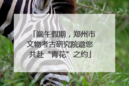 端午假期，郑州市文物考古研究院邀您共赴“青花”之约