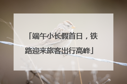 端午小长假首日，铁路迎来旅客出行高峰