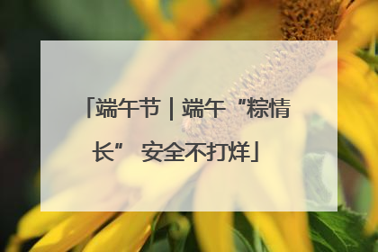 端午节｜端午“粽情长” 安全不打烊