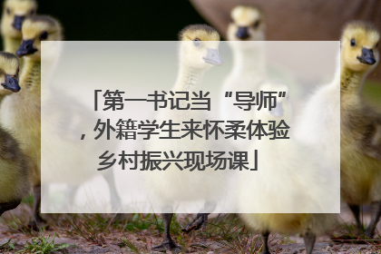 第一书记当“导师”，外籍学生来怀柔体验乡村振兴现场课