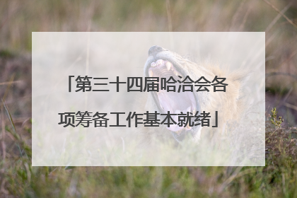 第三十四届哈洽会各项筹备工作基本就绪