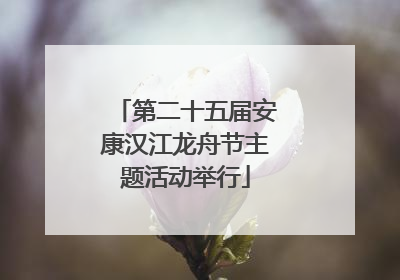 第二十五届安康汉江龙舟节主题活动举行