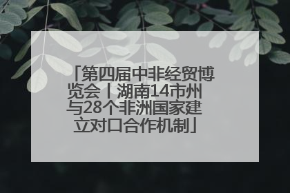 第四届中非经贸博览会丨湖南14市州与28个非洲国家建立对口合作机制