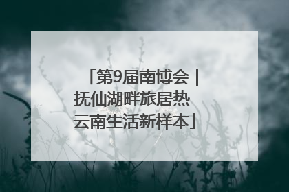 第9届南博会｜抚仙湖畔旅居热 云南生活新样本