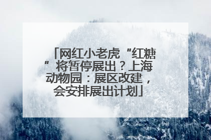 网红小老虎“红糖”将暂停展出？上海动物园：展区改建，会安排展出计划
