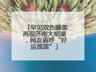 罕见双色睡莲再现济南大明湖，网友直呼“好运莲莲”