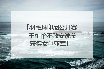 羽毛球印尼公开赛｜王祉怡不敌安洗莹 获得女单亚军