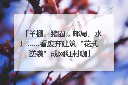 羊棚、猪圈，邮局、水厂……看废弃建筑“花式逆袭”成网红村咖