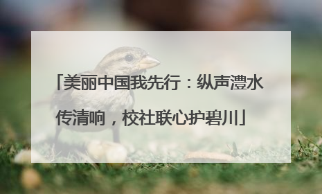 美丽中国我先行：纵声澧水传清响，校社联心护碧川