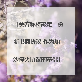 美方称将敲定一份新书面协议 作为加沙停火协议的基础