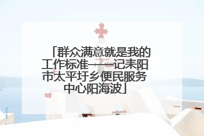 群众满意就是我的工作标准——记耒阳市太平圩乡便民服务中心阳海波