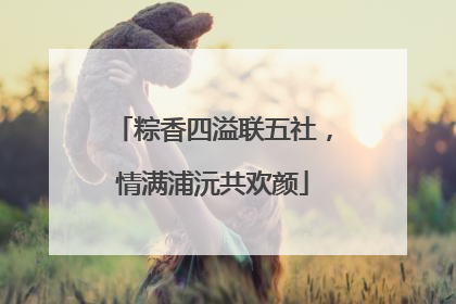粽香四溢联五社，情满浦沅共欢颜