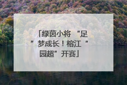 绿茵小将 “足”梦成长！榕江“园超”开赛