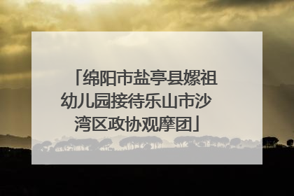 绵阳市盐亭县嫘祖幼儿园接待乐山市沙湾区政协观摩团