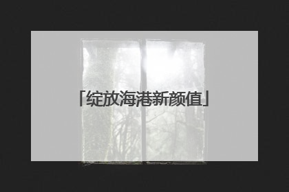 绽放海港新颜值