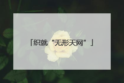 织就“无形天网”