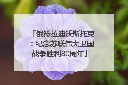 俄符拉迪沃斯托克：纪念苏联伟大卫国战争胜利80周年