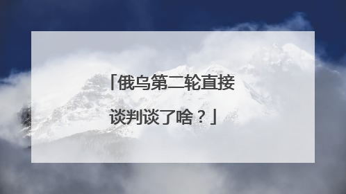 俄乌第二轮直接谈判谈了啥？