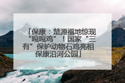 保康：楚源福地惊现“嘎嘎鸡”！国家“三有”保护动物石鸡亮相保康沿河公园