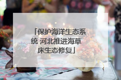 保护海洋生态系统 河北推进海草床生态修复