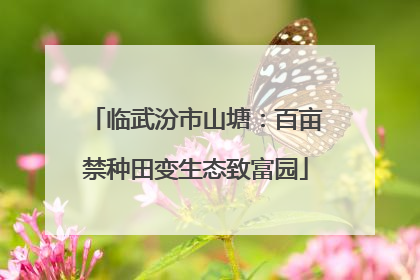 临武汾市山塘：百亩禁种田变生态致富园