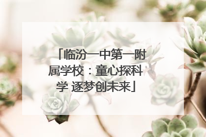 临汾一中第一附属学校：童心探科学 逐梦创未来