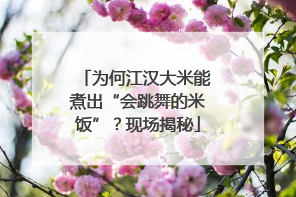 为何江汉大米能煮出“会跳舞的米饭”？现场揭秘