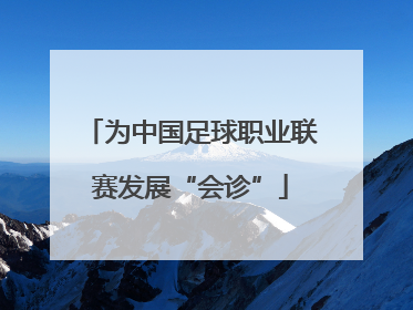 为中国足球职业联赛发展“会诊”