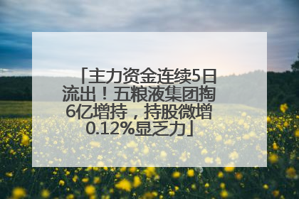 主力资金连续5日流出！五粮液集团掏6亿增持，持股微增0.12%显乏力