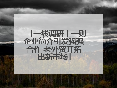 一线调研丨一则企业简介引发强强合作 老外贸开拓出新市场