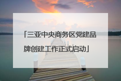 三亚中央商务区党建品牌创建工作正式启动