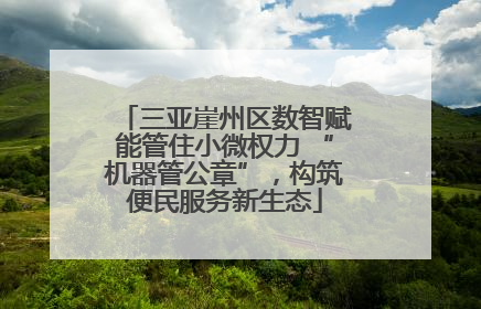 三亚崖州区数智赋能管住小微权力 “机器管公章”，构筑便民服务新生态