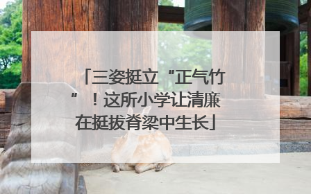 三姿挺立“正气竹”！这所小学让清廉在挺拔脊梁中生长