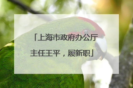 上海市政府办公厅主任王平，履新职