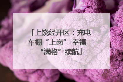上饶经开区：充电车棚“上岗” 幸福“满格”续航