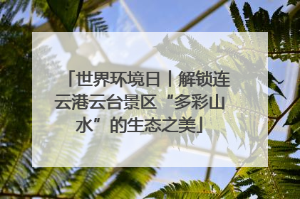 世界环境日丨解锁连云港云台景区“多彩山水”的生态之美
