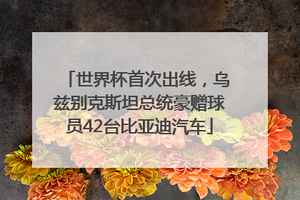 世界杯首次出线，乌兹别克斯坦总统豪赠球员42台比亚迪汽车