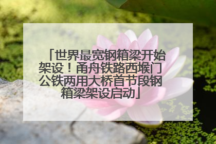 世界最宽钢箱梁开始架设！甬舟铁路西堠门公铁两用大桥首节段钢箱梁架设启动