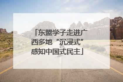 东盟学子走进广西多地“沉浸式”感知中国式民主