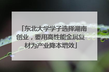 东北大学学子选择湖南创业，要用高性能金属复材为产业降本增效