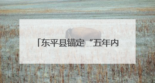 东平县锚定“五年内GDP和税收收入翻番”目标，2024年同比增长5.8%