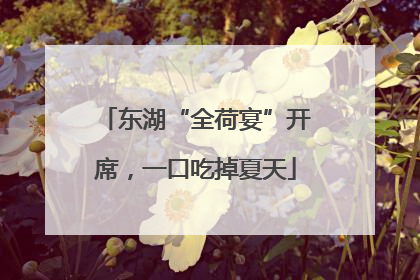 东湖“全荷宴”开席，一口吃掉夏天