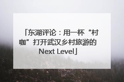 东湖评论：用一杯“村咖”打开武汉乡村旅游的Next Level