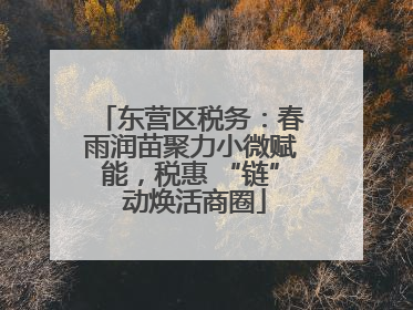 东营区税务：春雨润苗聚力小微赋能，税惠 “链” 动焕活商圈