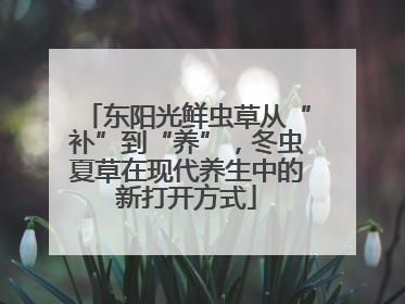 东阳光鲜虫草从“补”到“养”，冬虫夏草在现代养生中的新打开方式